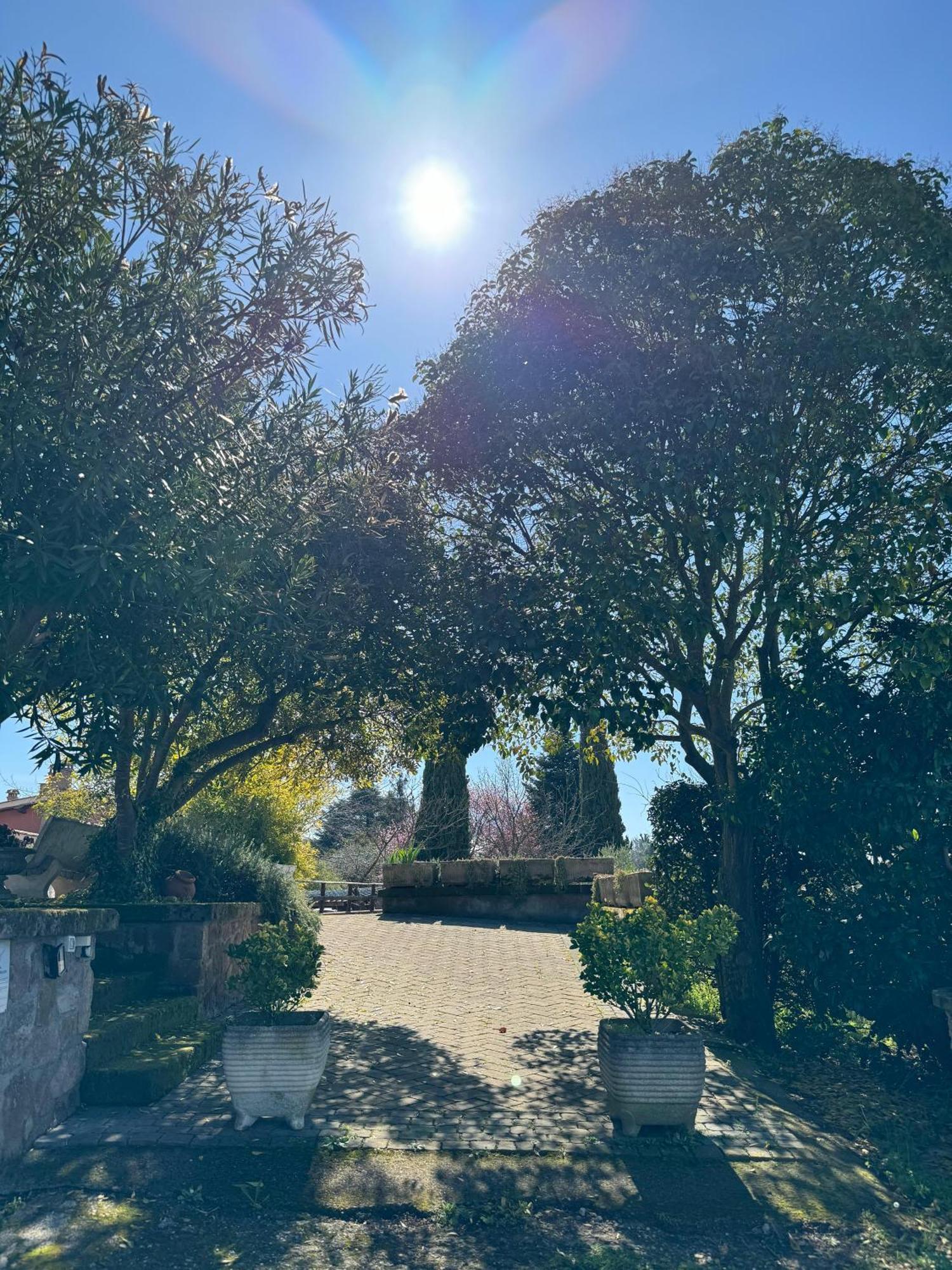자가롤로 La Terrazza Su Roma B&B 외부 사진