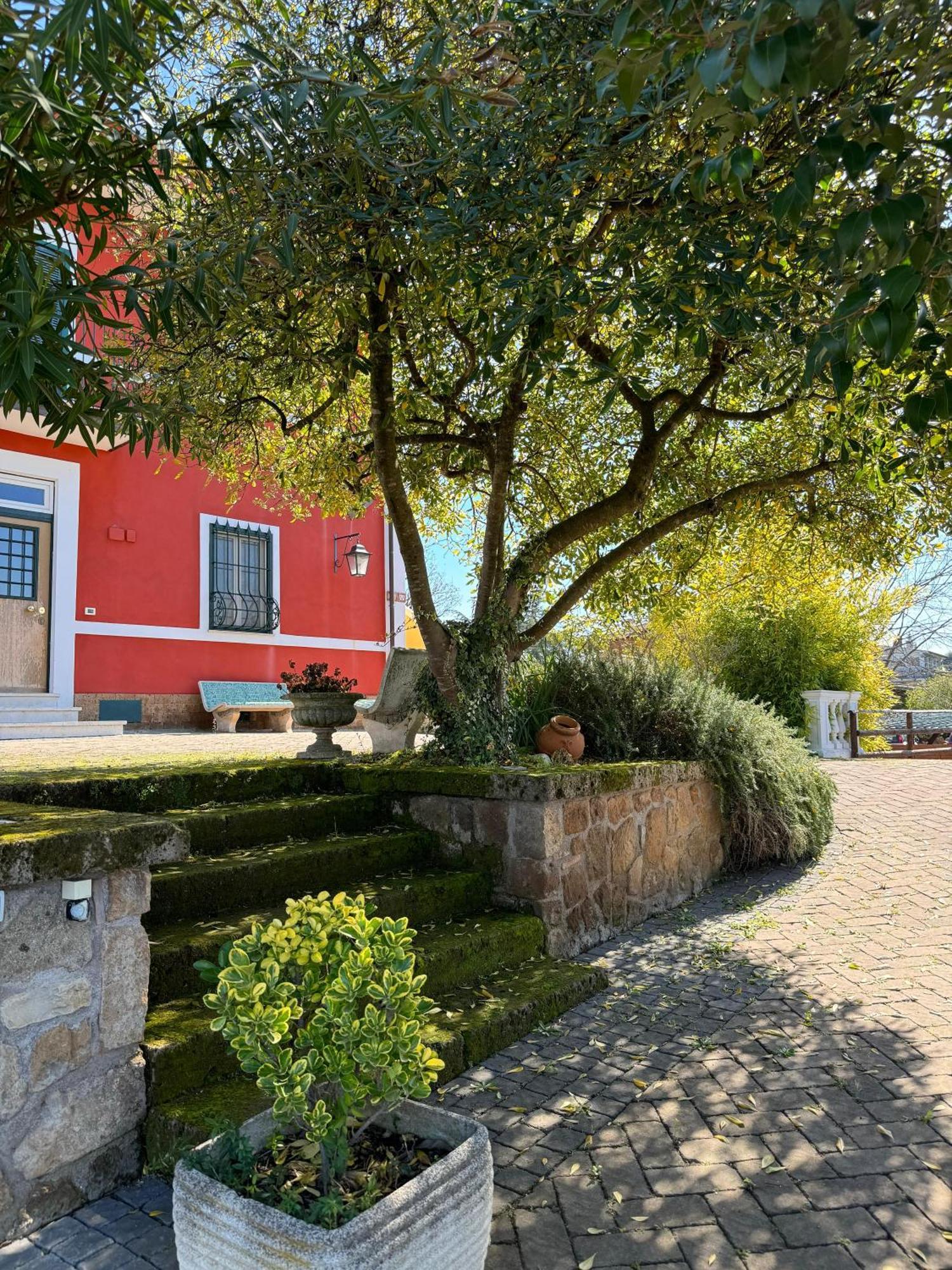 자가롤로 La Terrazza Su Roma B&B 외부 사진